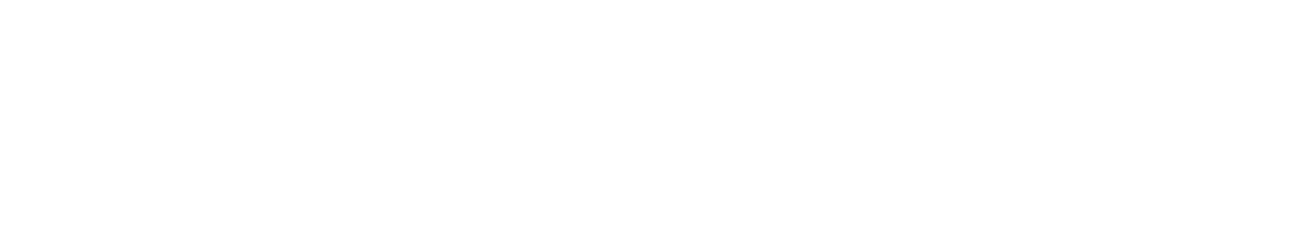 logo Footer
